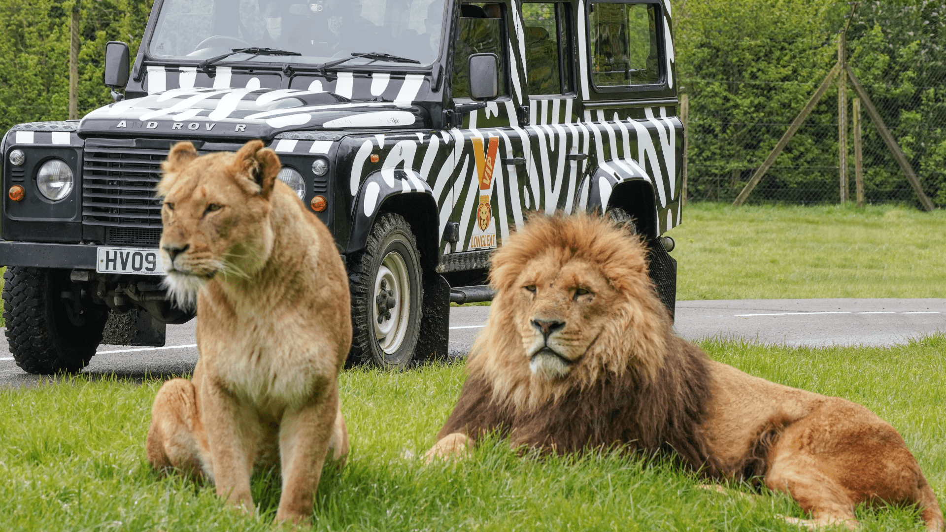 WIN a VIP Safari Experience at Longleat