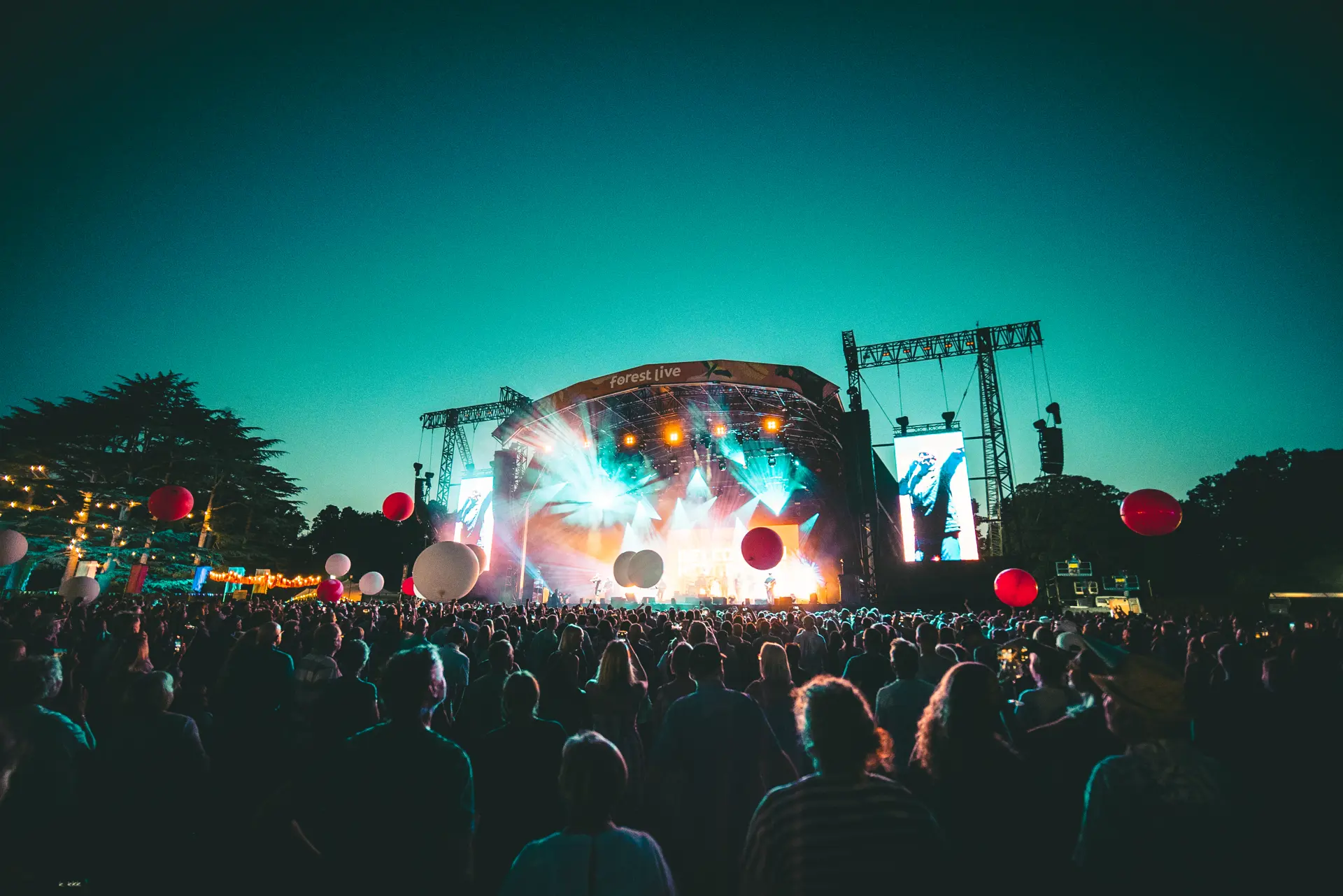 Forest Live at Westonbirt Arboretum