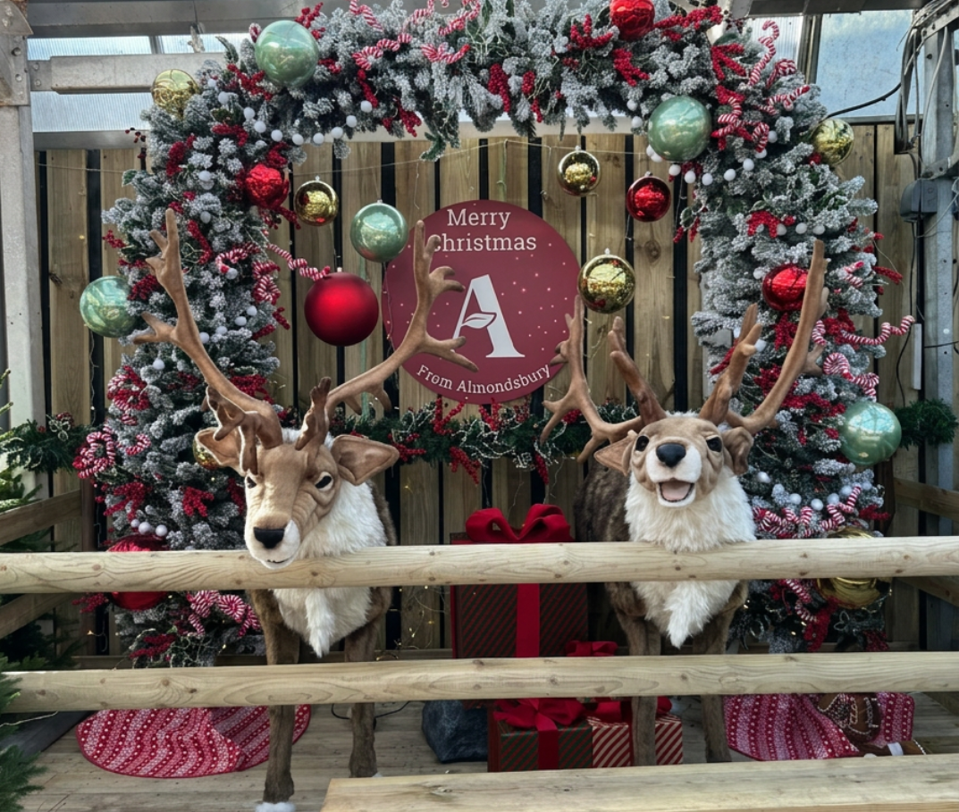 Step Inside Bristol’s Most Interactive Christmas Grotto
