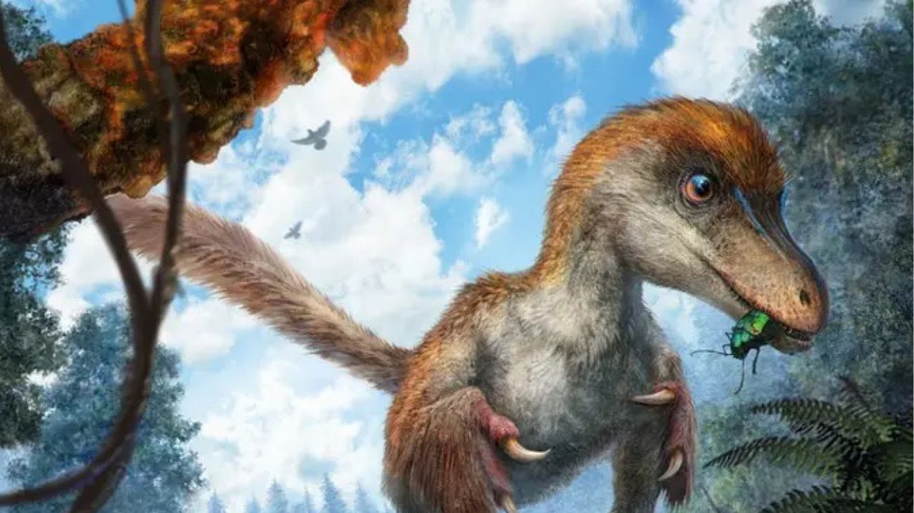 Bristol Palaeobiology Festival