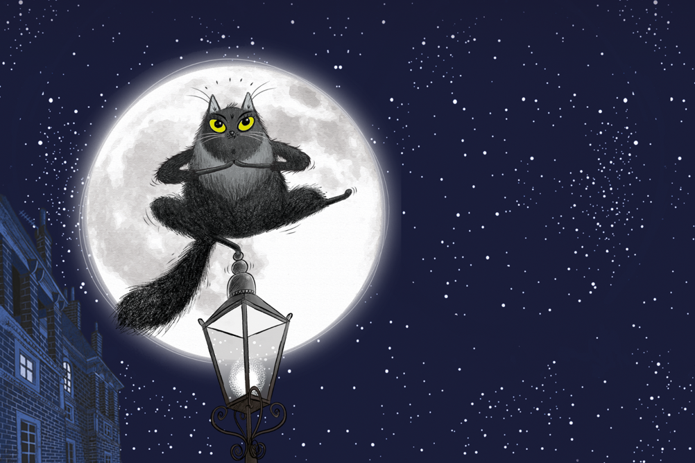 Toto the Ninja Cat